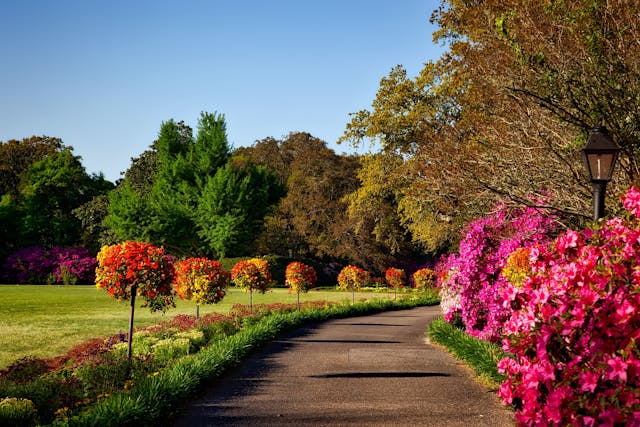 a park path lined by flowers