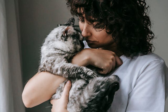 a person with curly hard holding a grey and black cat